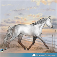 Horse Color:Gray Liver Chestnut Mushroom 