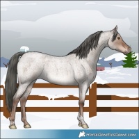 Horse Color:Liver Red Dun Roan Mushroom Tobiano 