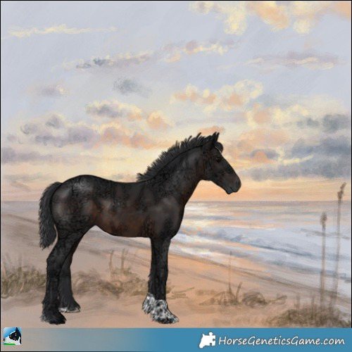 Horse Color:Brown Ice Tobiano Rabicano 