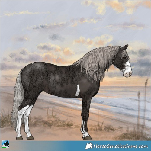 Horse Color:Silver Black Ice Sabino Tobiano Rabicano