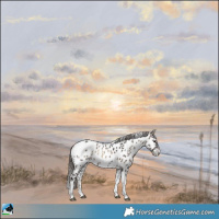 Horse Color:Brown Ice Onyx Tobiano Near Leopard