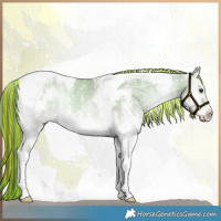 Horse Color:Painted Plaid  White Spotted Liver Red Dun Onyx Tobiano 