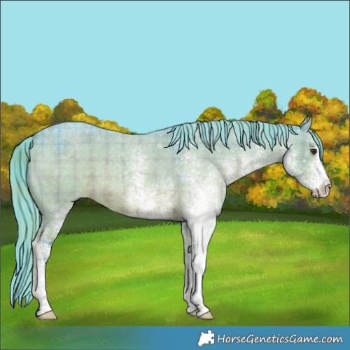 Horse Color:Watercolor Plaid  White Spotted Liver Red Dun Roan 