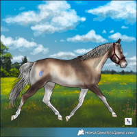 Horse Color:Liver Red Onyx Mushroom Rabicano 