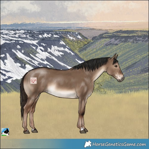 Horse Color:Liver Red Dun Rabicano