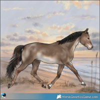 Horse Color:Liver Red Dun Rabicano