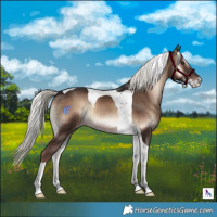 Horse Color:Liver Red Onyx Mushroom Sabino Tobiano Rabicano