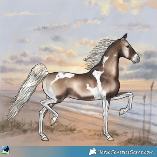 Horse Color:Liver Red Onyx Mushroom Tobiano Rabicano 