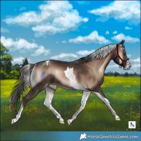 Horse Color:Liver Red Onyx Mushroom Sabino Tobiano Rabicano