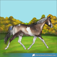 Horse Color:Liver Red Onyx Mushroom Sabino Tobiano Rabicano