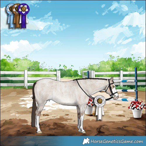 Horse Color:White Spotted Liver Red Dun Roan Rabicano