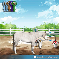 Horse Color:White Spotted Liver Red Dun Roan Rabicano 