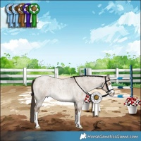 Horse Color:White Spotted Liver Red Dun Roan Rabicano 