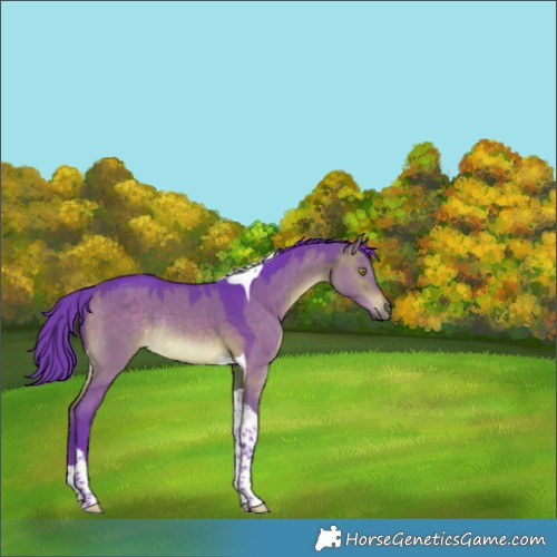 Horse Color:Watercolor Brown Dun Tobiano Rabicano 
