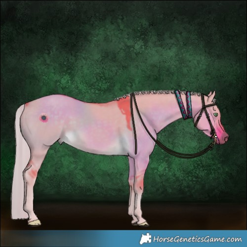 Horse Color:Watercolor Chocolate Palomino Dun 