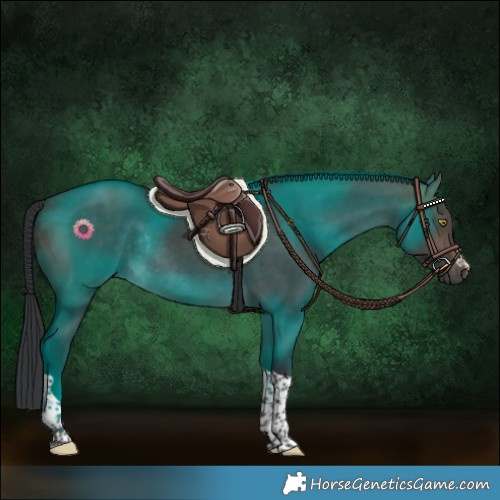 Horse Color:Brown Dun Tobiano Rabicano