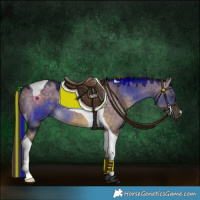 Horse Color:Painted Buckskin Dun Tobiano 