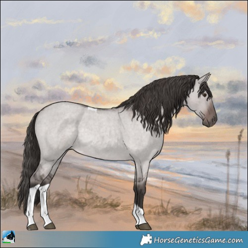 Horse Color:Platinum Liver Red Dun Roan Tobiano Rabicano 
