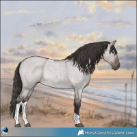 Horse Color:Platinum Liver Red Dun Roan Tobiano Rabicano