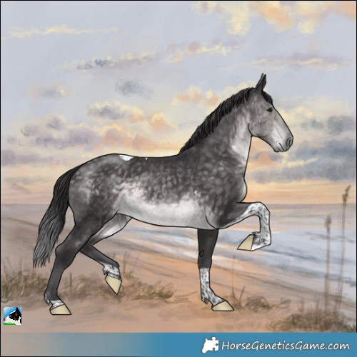 Horse Color:Platinum Buckskin Tobiano Rabicano