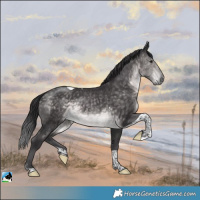 Horse Color:Platinum Buckskin Tobiano Rabicano