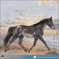 Horse Color:Platinum White Spotted Liver Chestnut Rabicano 