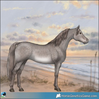 Horse Color:Platinum White Spotted Liver Red Dun 