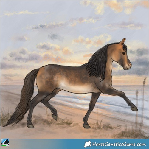 Horse Color:Buckskin Rabicano 