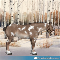 Horse Color:White Spotted Liver Red Dun Tobiano 