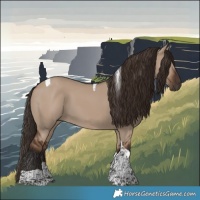 Horse Color:Liver Red Dun Tobiano 