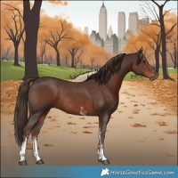 Horse Color:Liver Chestnut Sabino Rabicano