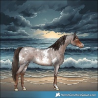 Horse Color:White Spotted Liver Red Roan 