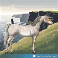 Horse Color:White Spotted Chocolate Palomino Roan 