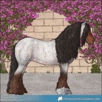 Horse Color:Liver Red Roan 