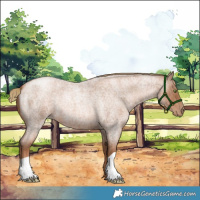 Horse Color:Liver Red Roan Pearl 