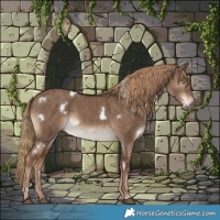 Horse Color:White Spotted Liver Red Dun Brindle 