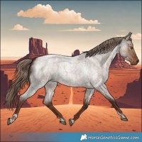 Horse Color:Liver Red Dun Roan Tobiano 