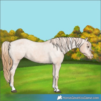Horse Color:Chestnut Tobiano Varnish 