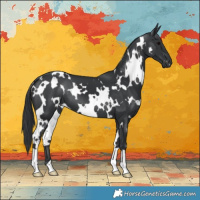 Horse Color:White Spotted Black