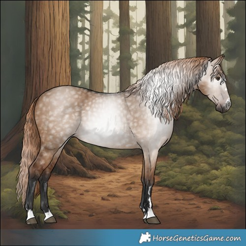 Horse Color:Gray Liver Red Dun 