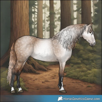 Horse Color:Gray Liver Red Dun 