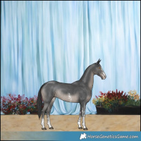 Horse Color:Black Sabino Rabicano 