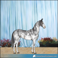 Horse Color:Smoky Black Sabino Rabicano