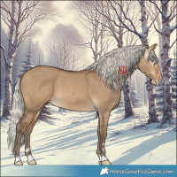 Horse Color:Gray Silver Perlino Dun 