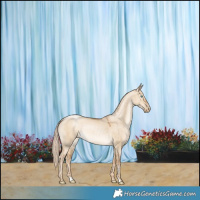 Horse Color:Chocolate Palomino Pearl Dun Rabicano