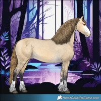 Horse Color:Buckskin Dun Varnish 