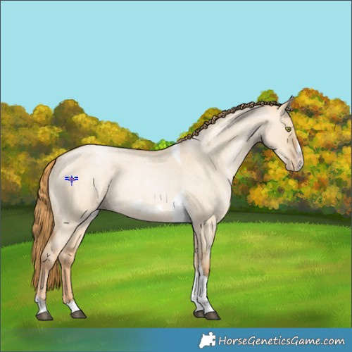 Horse Color:Red Dun Roan Pearl Tobiano Frame 