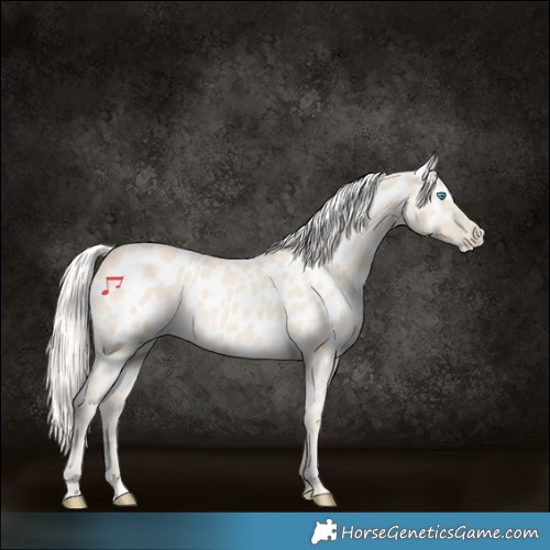 Horse Color:Cremello Appaloosa