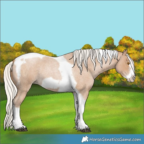 Horse Color:Silver Blue Roan Pearl Tobiano Frame 