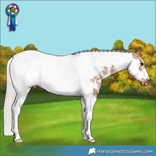 Horse Color:Silver Bay Sabino Tobiano Frame 